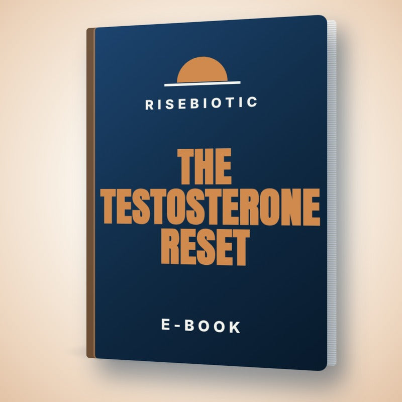 Testosterone E-Book